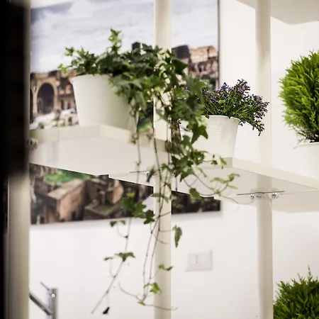 Vinci House Гостевой дом 4*